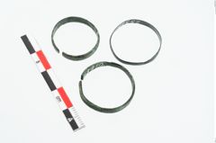 Foto von Bronzebandring (NHMW-PRAE-025319)